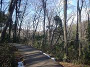 ë�ͻ�����