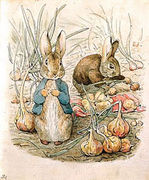 Peter Rabbit color