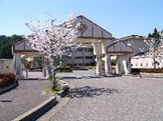 �����ͺ���