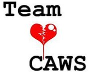 Team CAWS