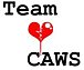 Team CAWS