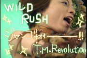 ��WILD RUSH��