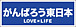 snowboard-club�ɣ�
