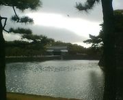 ��TeX�ʥƥաˤ�������