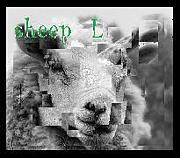 sheep L