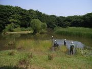 ���ֹ�˼���ե�������ݡ�������