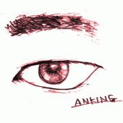 Anking������