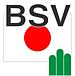 BSV(ボーイスカウト)