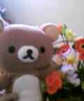 �ѥѥޥޤ�ڤ��⤦��