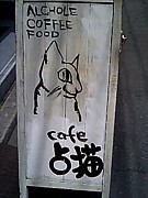 cafe 占猫