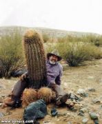 ��ȡع��Ҥ�����