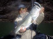 �Ƹ���������