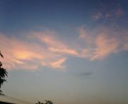 ��ë�ݰ���´����