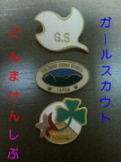 *I  like  Girl  Scout* @gunma