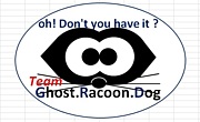 Team Ghost Racoon Dog