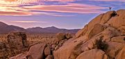 patagoniaۤμ̿