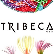 hair salon TRIBECA west