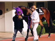 �����������˥ʥ뤬���ˤʤ�