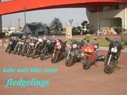 �������Fledgelings
