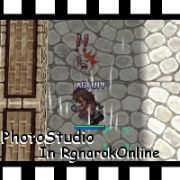 ���� RO�̿��� ����