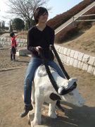 TEAM���Ĳȡ���