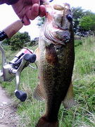 ���Ҹ��ꡡ�ż֤ǥ����åѥꡪ