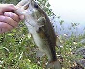 ʡ���֥�å��Х�����