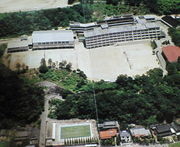 ⹻1986ǯ´