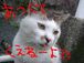 ̤ʤǤ