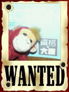 �縶������ܹ��ȡ�����٤��