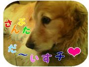 We ♡ ���Ӥ��Τ��֤�