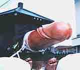 �ƤΥ����٥�ס���