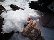 ���Ȥ����ߡ�ˡΧ�����ˡ��