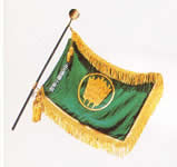 ����Ω���Ų����ع�