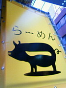 Ź���ǧ�����顼����