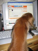 �����˥ѥ���ޤ�PCƱ����