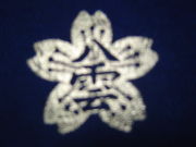 �ܹ���ΩȬ�����ع�