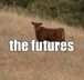 the futures