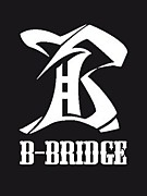 B-BRIDGE