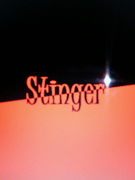 Stingerを応援する会♪