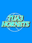 KING OF HORNETS
