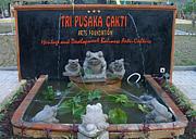 UMAH KODOK