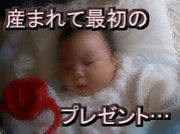 ̾���˹��᤿�ۤ���