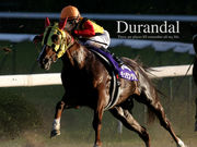 千葉大学E.S.S.競馬セクション