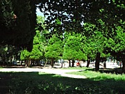 Happy�ԥ��˥å�������