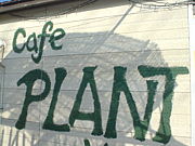 CAFE  PLANT