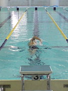 �Ļ��ر����������������