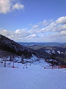 snow park in ͹