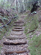 ����������ư�����