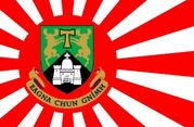 リムリック大学新特別隊
